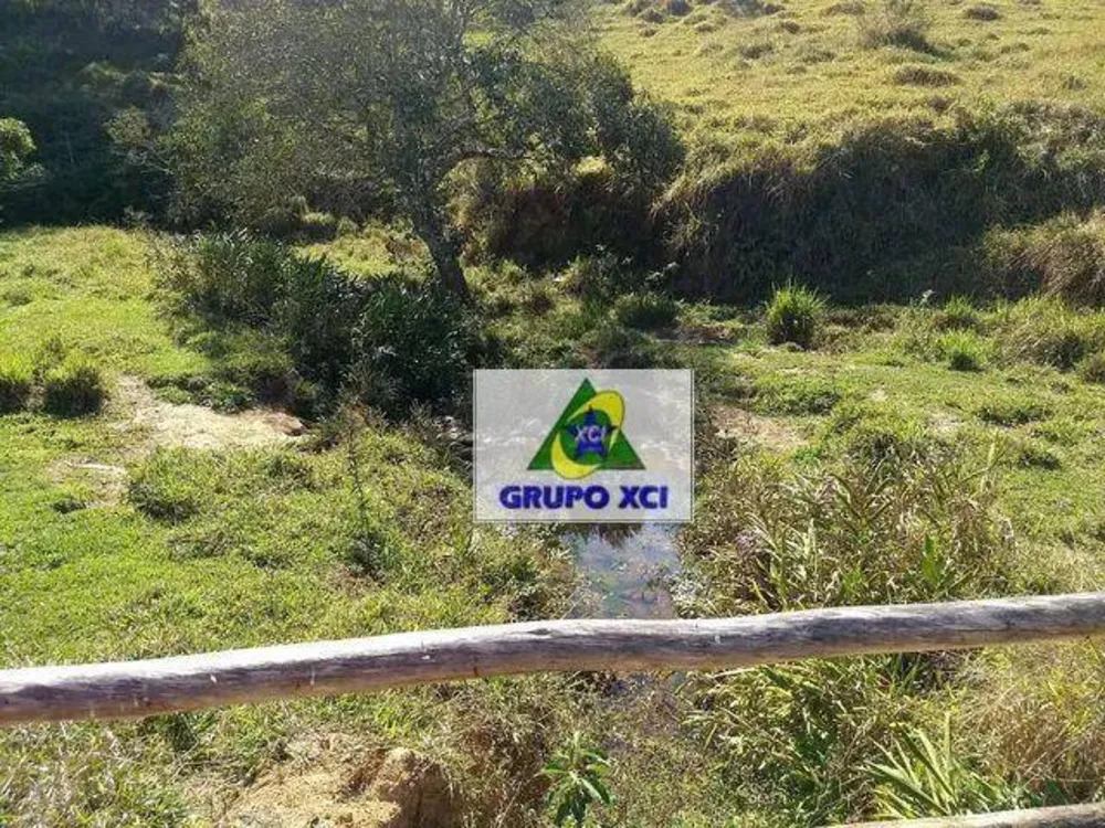 Fazenda, 116 hectares - Foto 5