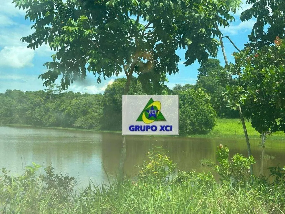 Fazenda, 2670 hectares - Foto 11