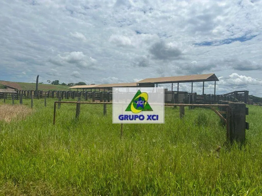 Fazenda, 2670 hectares - Foto 9