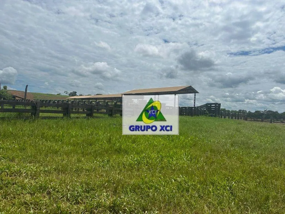 Fazenda, 2670 hectares - Foto 10