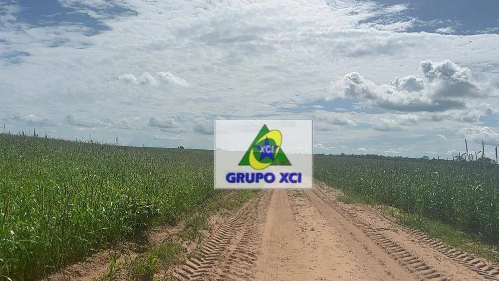 Fazenda, 2670 hectares - Foto 8