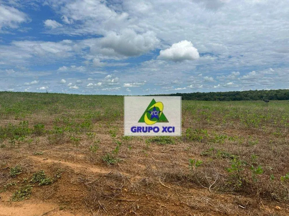 Fazenda, 2670 hectares - Foto 12