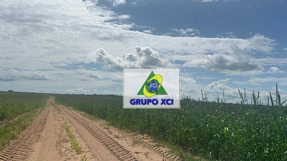 Fazenda, 2670 hectares - Foto 7