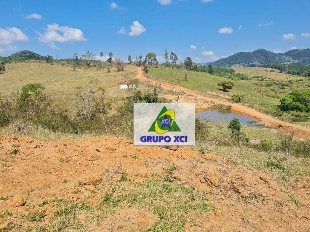 Fazenda, 250 hectares - Foto 12