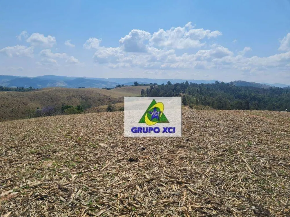 Fazenda, 250 hectares - Foto 6