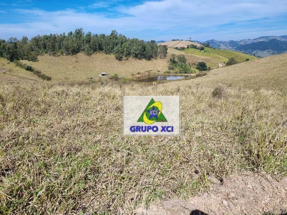 Fazenda, 250 hectares - Foto 2