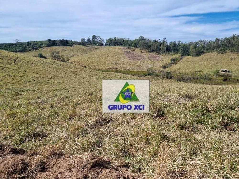 Fazenda, 250 hectares - Foto 3