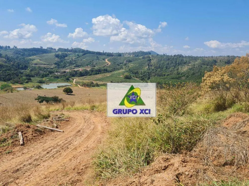 Fazenda, 250 hectares - Foto 4