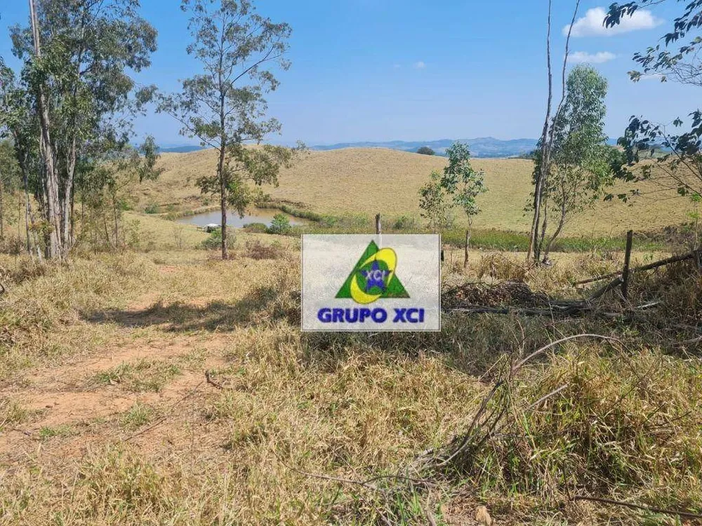 Fazenda, 250 hectares - Foto 9