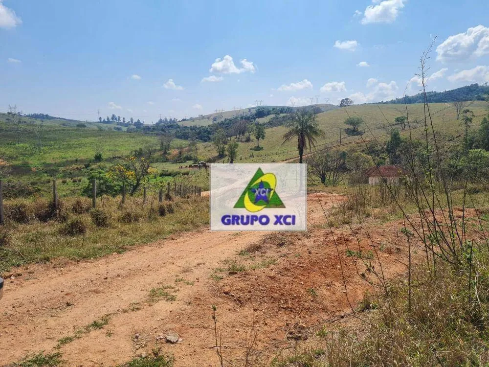 Fazenda, 250 hectares - Foto 11