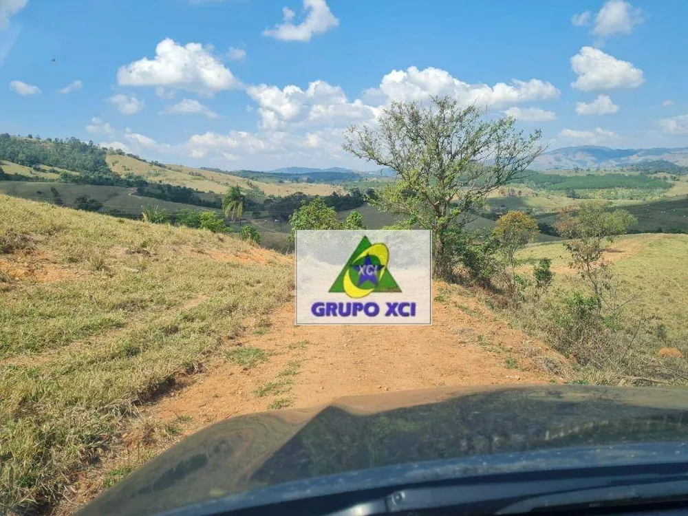 Fazenda, 250 hectares - Foto 10