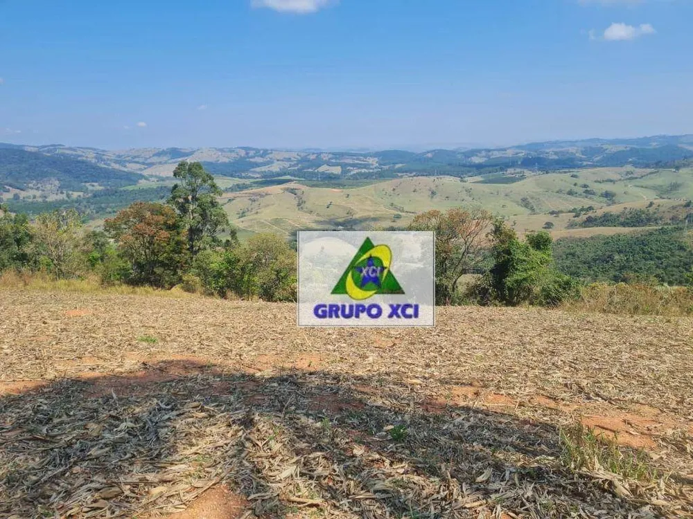 Fazenda, 250 hectares - Foto 7