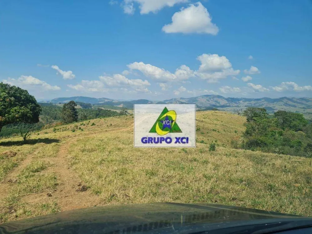 Fazenda, 250 hectares - Foto 8