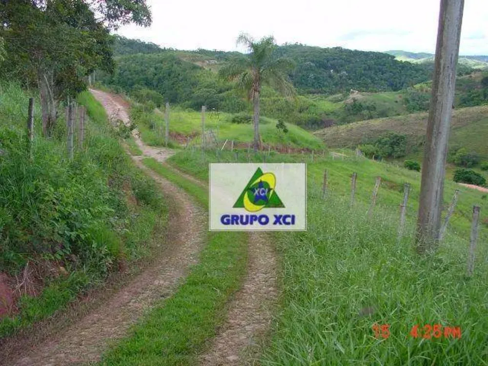 Sítio, 3 hectares - Foto 11
