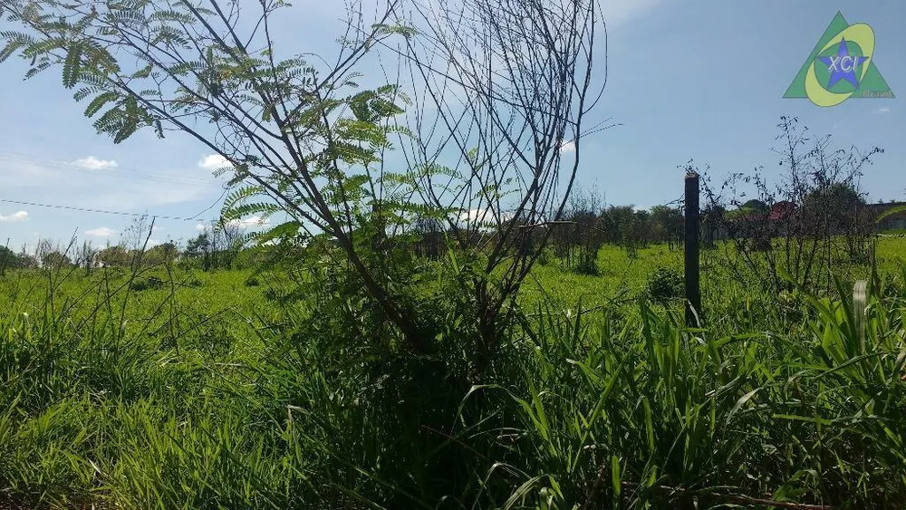 Terreno, 10000 m² - Foto 5