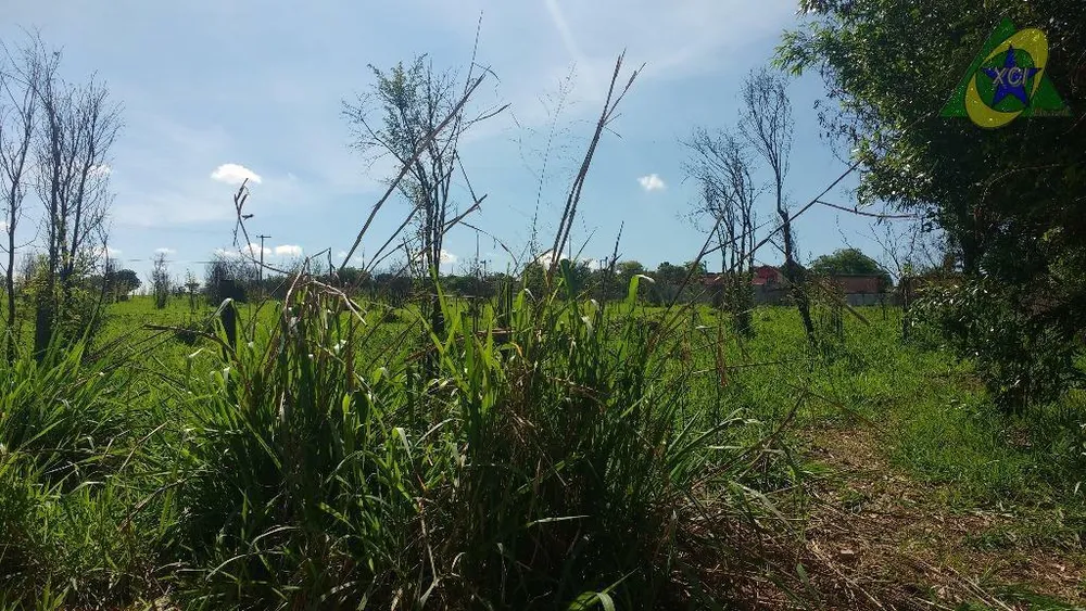 Terreno, 10000 m² - Foto 4