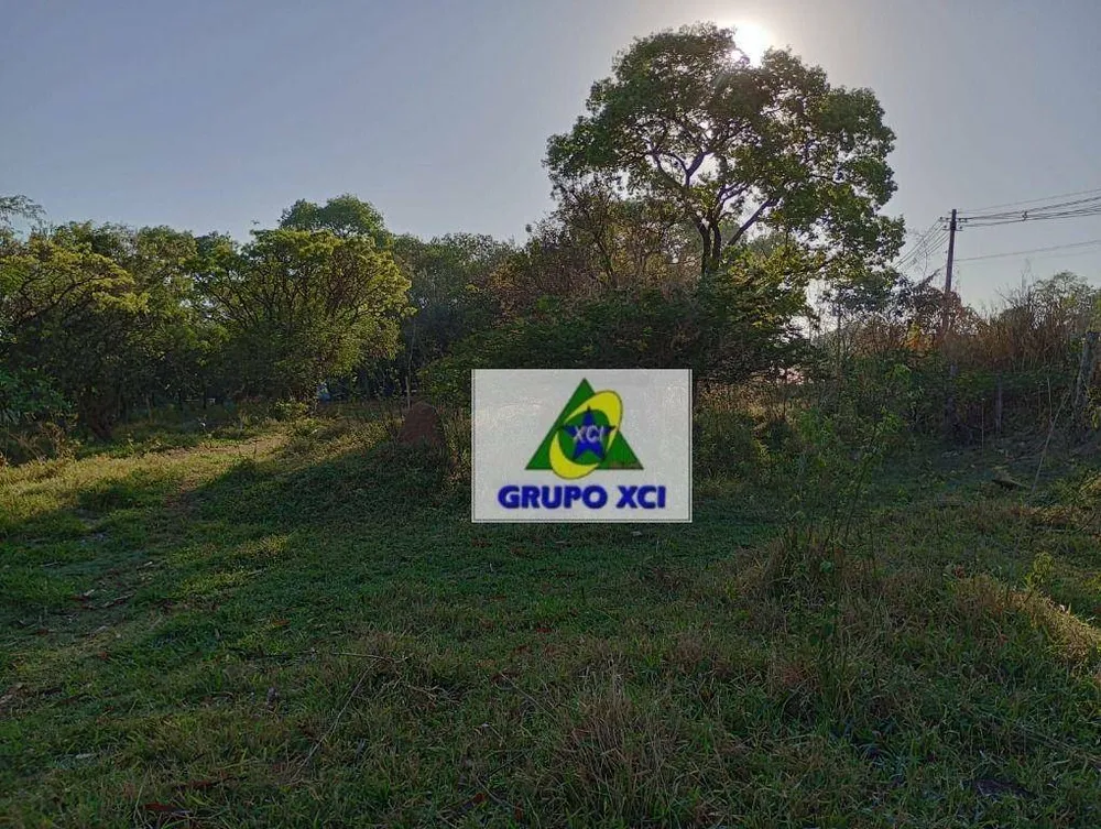 Terreno, 5 hectares - Foto 8