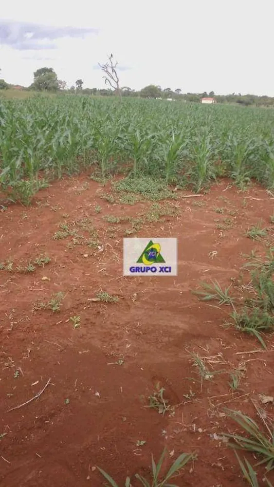 Fazenda, 277 hectares - Foto 7