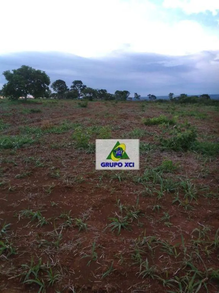 Fazenda, 277 hectares - Foto 8