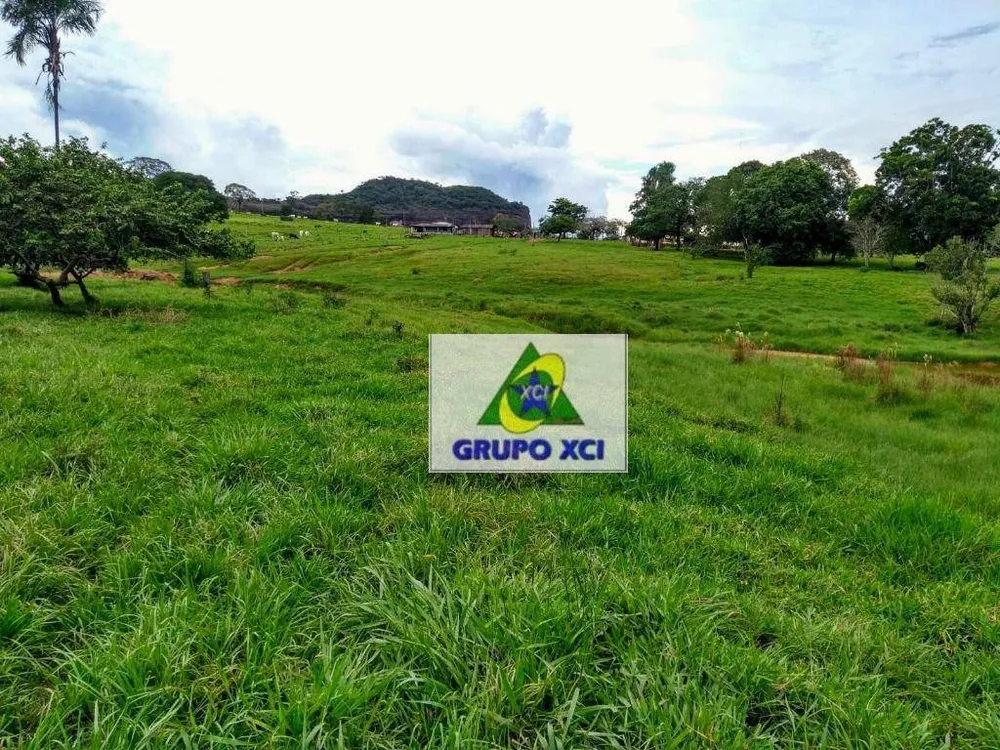 Fazenda, 6069 hectares - Foto 3
