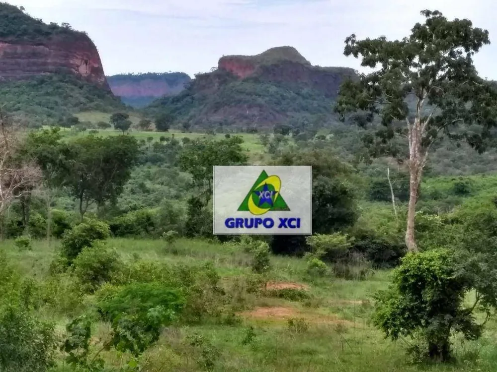 Fazenda, 6069 hectares - Foto 7