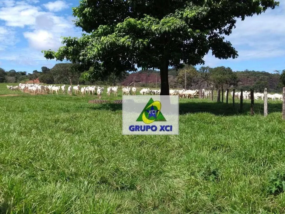 Fazenda, 6069 hectares - Foto 1
