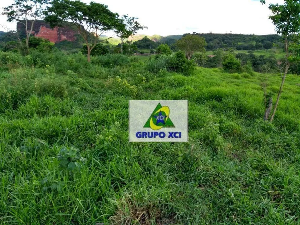 Fazenda, 6069 hectares - Foto 4