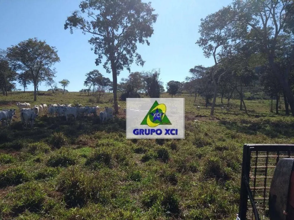 Fazenda, 6069 hectares - Foto 8