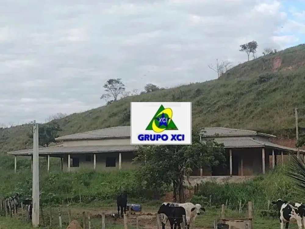 Fazenda, 61 hectares - Foto 1