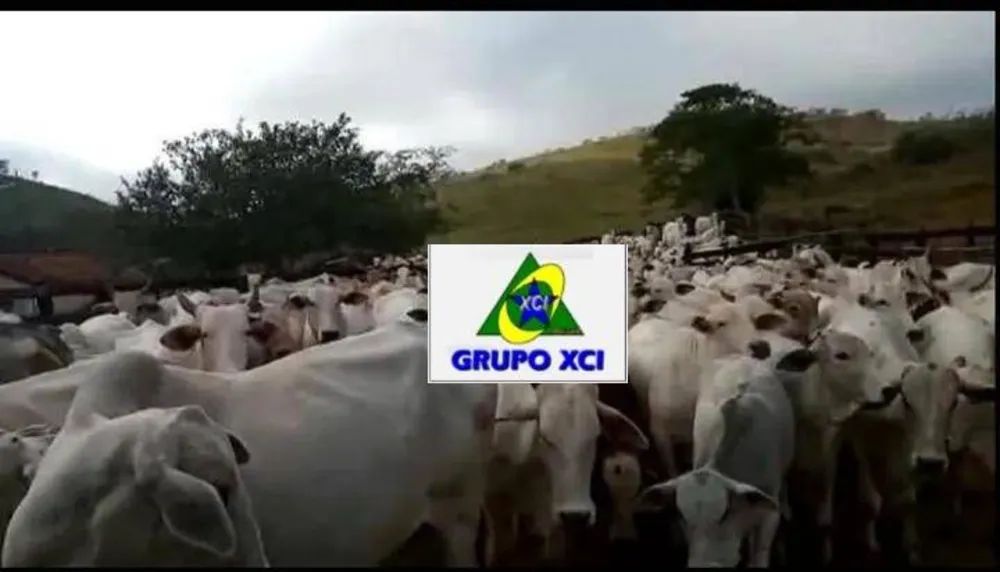 Fazenda, 61 hectares - Foto 2