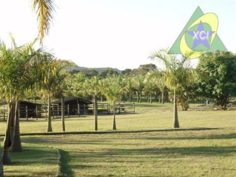 Terreno, 18 hectares - Foto 5