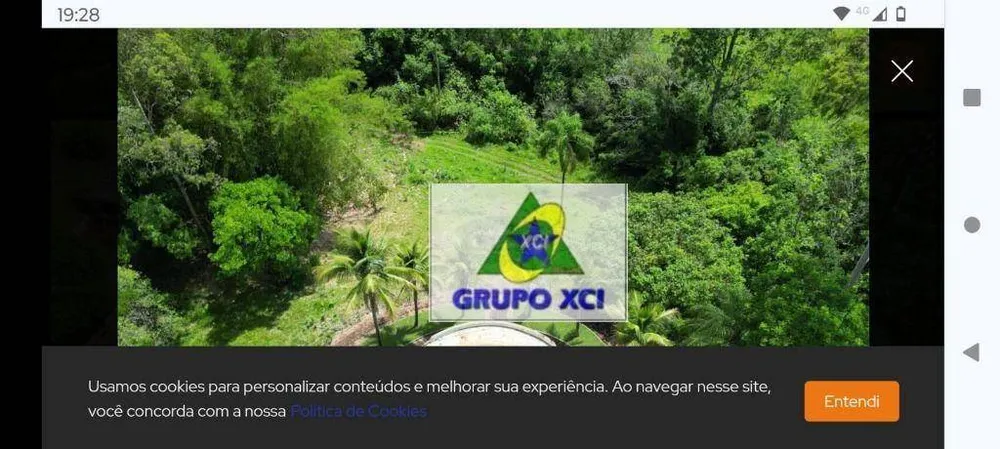 Fazenda, 97 hectares - Foto 4