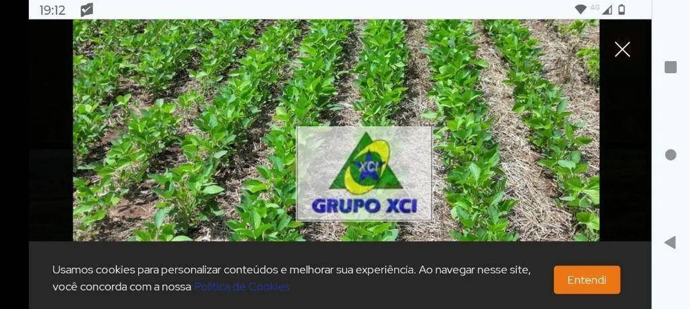 Fazenda, 97 hectares - Foto 9