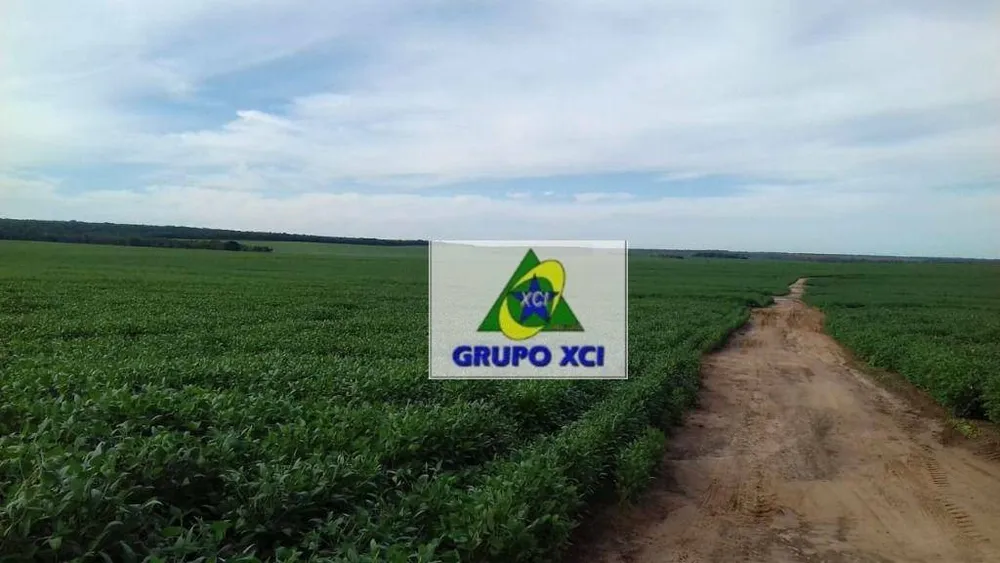 Fazenda, 2040 hectares - Foto 1