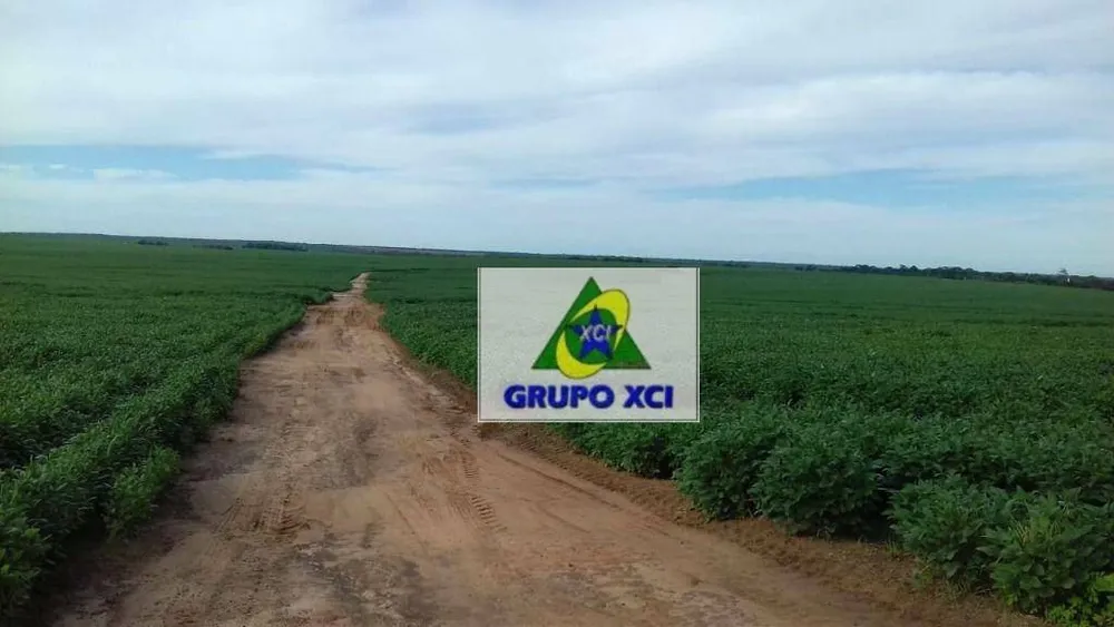 Fazenda, 2040 hectares - Foto 6
