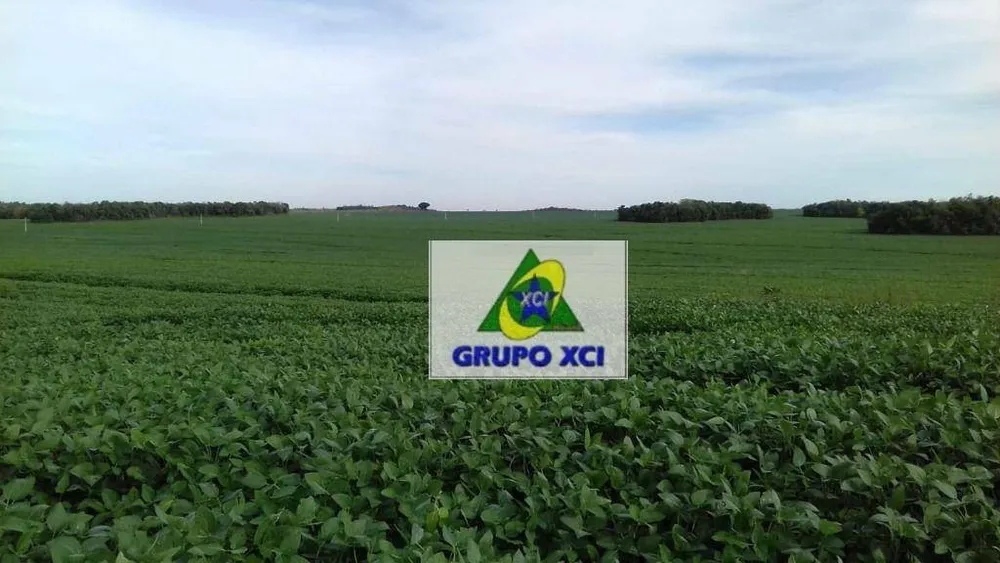 Fazenda, 2040 hectares - Foto 8