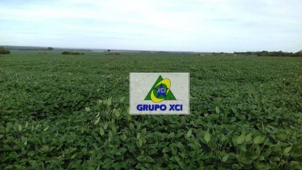 Fazenda, 2040 hectares - Foto 3