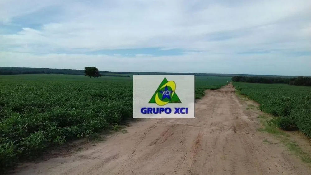 Fazenda, 2040 hectares - Foto 4