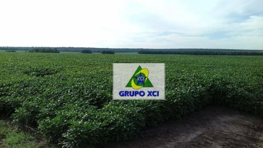 Fazenda, 2040 hectares - Foto 2