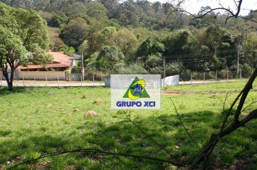 Terreno, 2 hectares - Foto 6