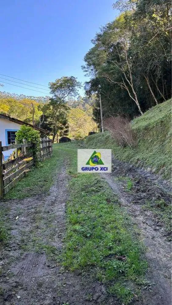 Sítio, 3 quartos, 31 hectares - Foto 3