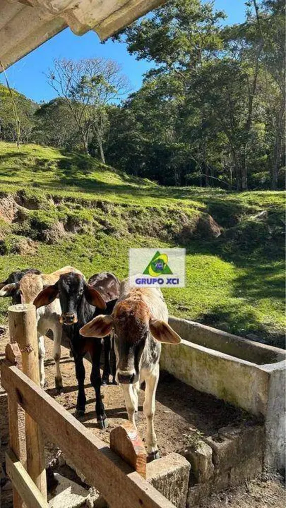 Sítio, 3 quartos, 31 hectares - Foto 3