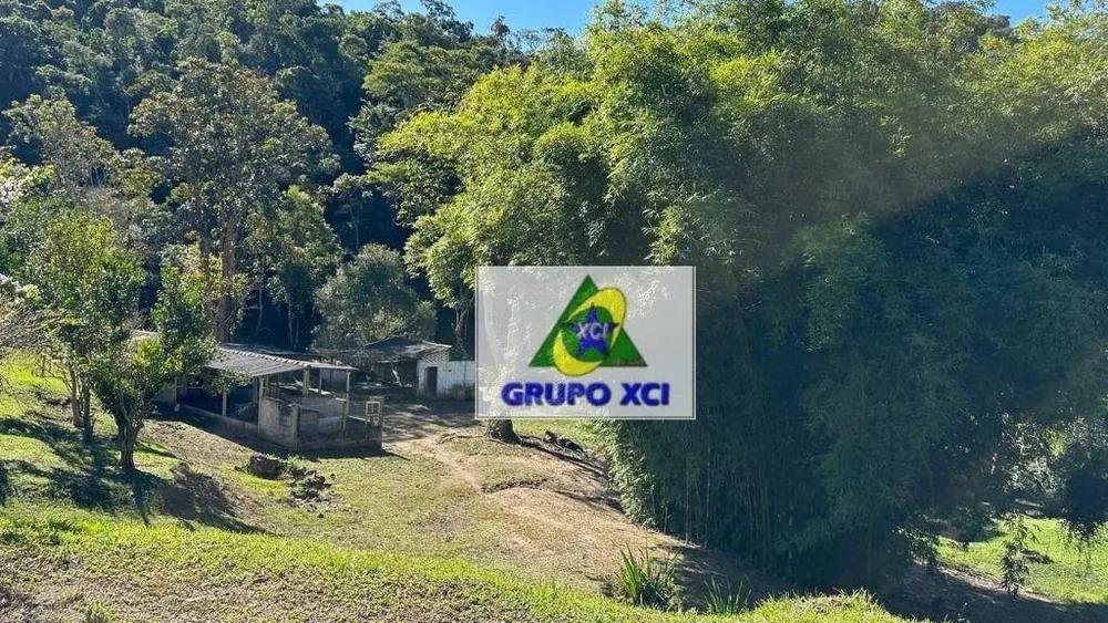Sítio, 3 quartos, 31 hectares - Foto 4