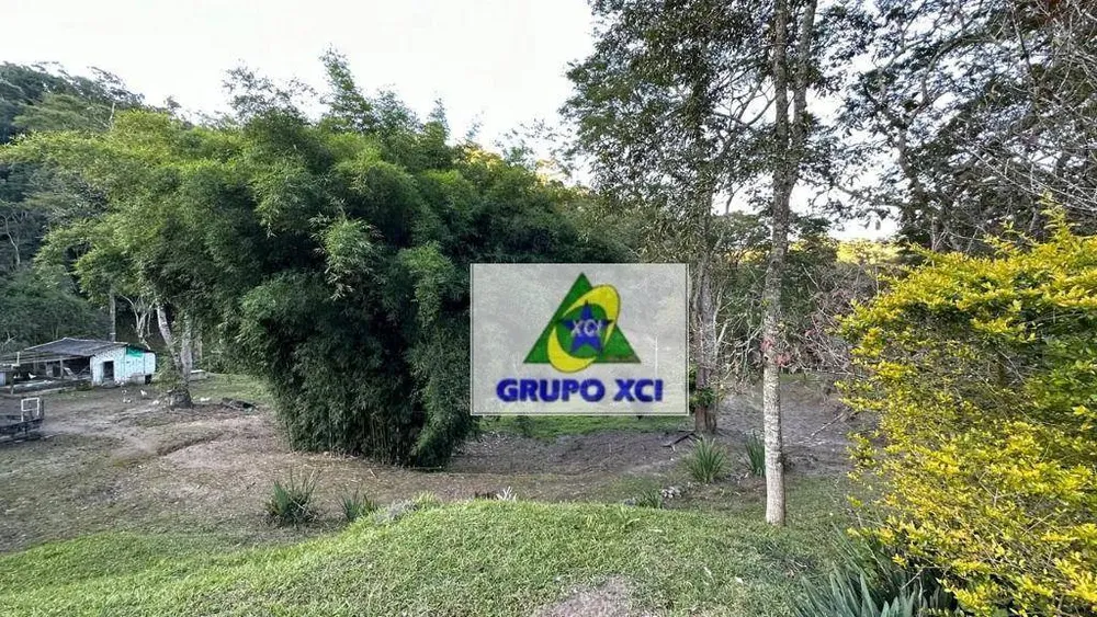Sítio, 3 quartos, 31 hectares - Foto 10