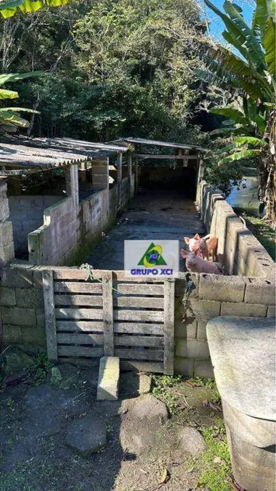 Sítio, 3 quartos, 31 hectares - Foto 2
