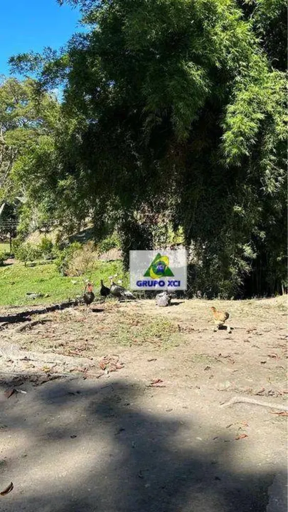 Sítio, 3 quartos, 31 hectares - Foto 6