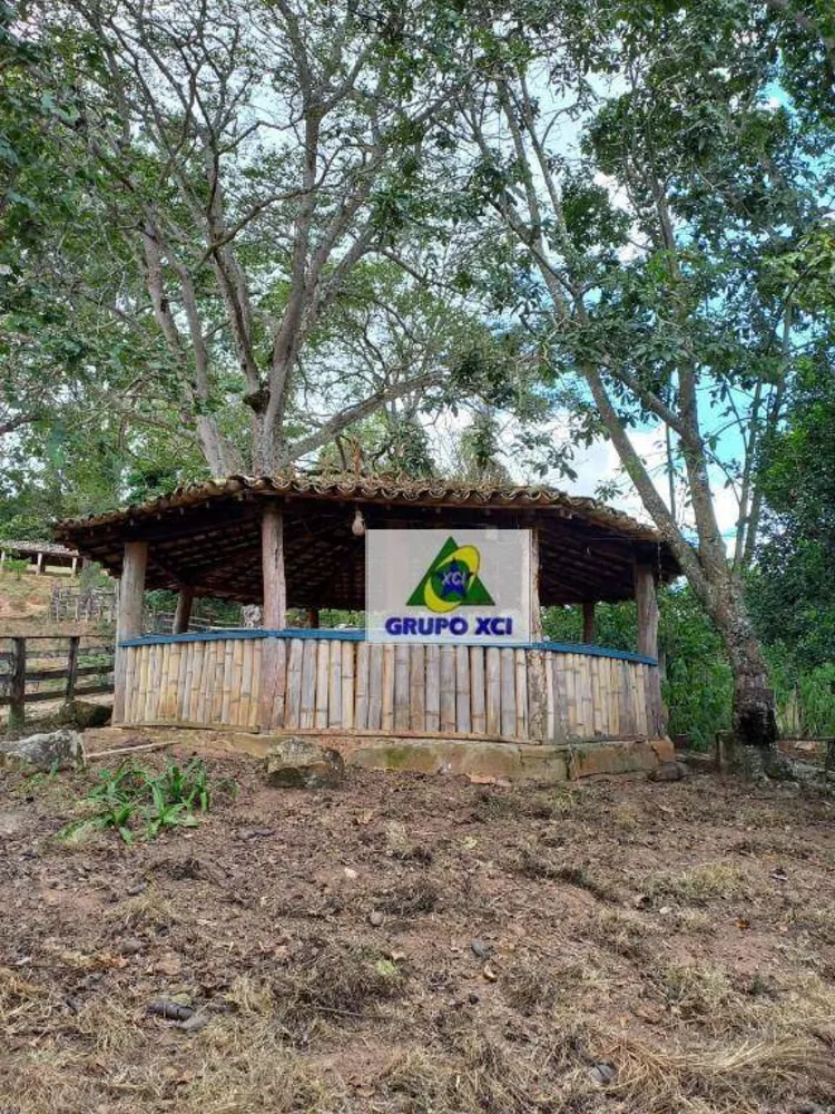 Fazenda à venda, 2560000M2 - Foto 4