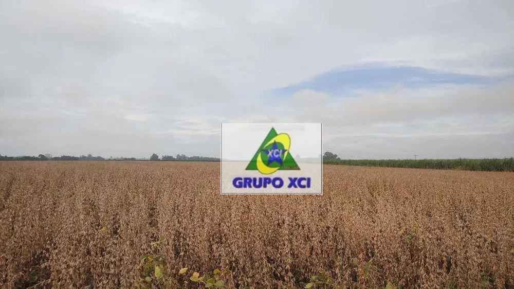 Terreno, 16 hectares - Foto 8