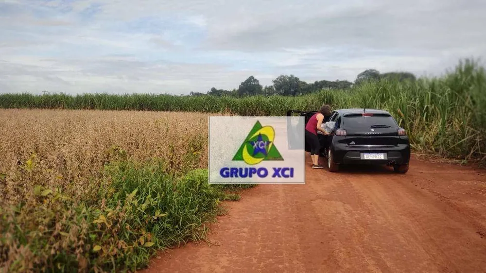 Terreno, 16 hectares - Foto 6