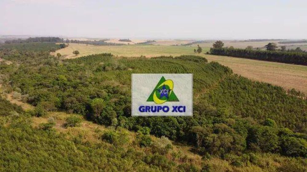 Fazenda, 169 hectares - Foto 2